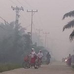 Kabut Asap, Waspada Penyakit Pernafasan