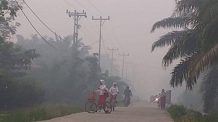 Kabut Asap, Waspada Penyakit Pernafasan