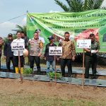 PJ BUPATI MUARA ENIM MEMBUKA GERAKAN TANAM CABE SERENTAK DI MUARA ENIM