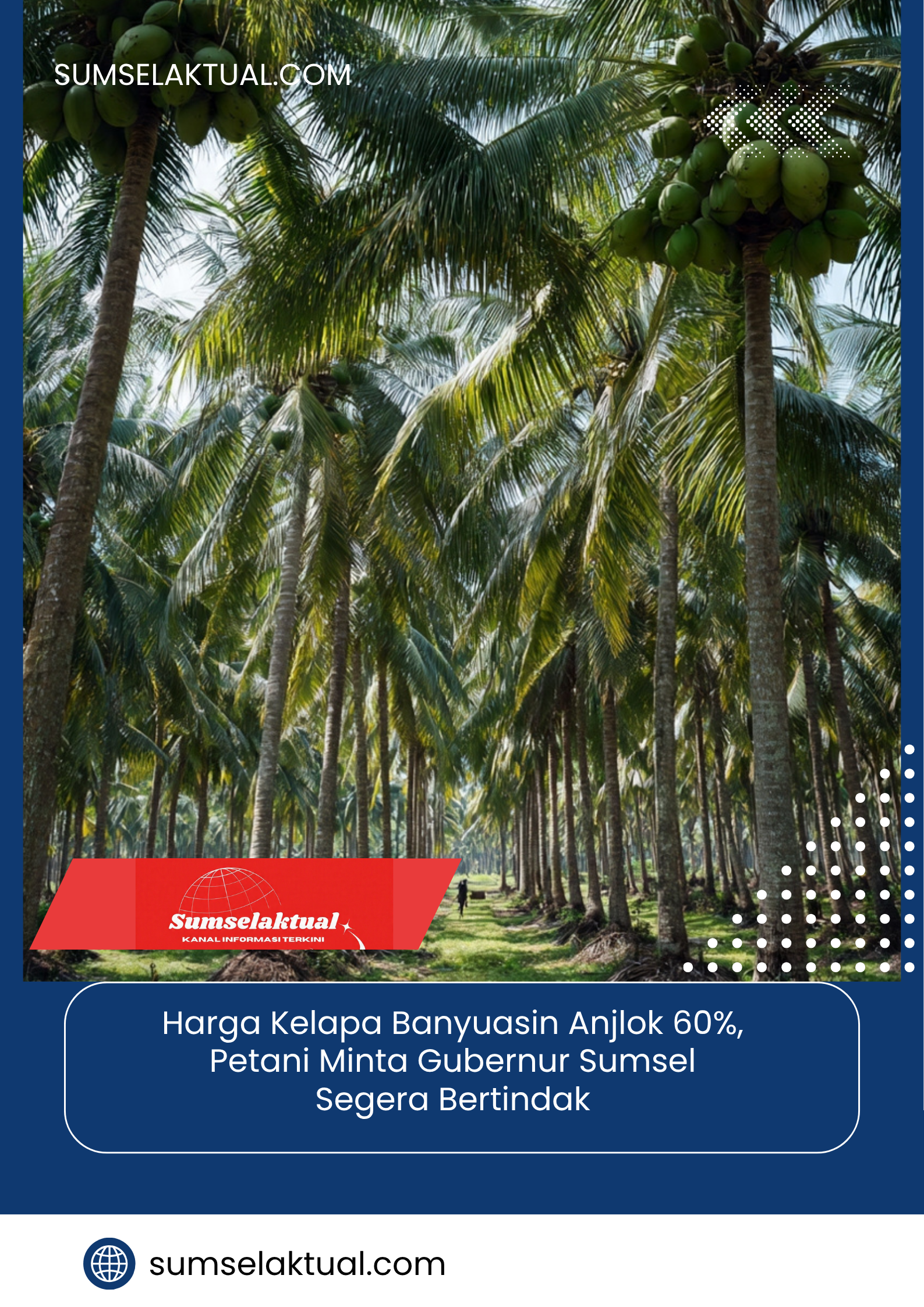 Harga Kelapa Banyuasin Anjlok 60%, Petani Minta Gubernur Sumsel Segera Bertindak