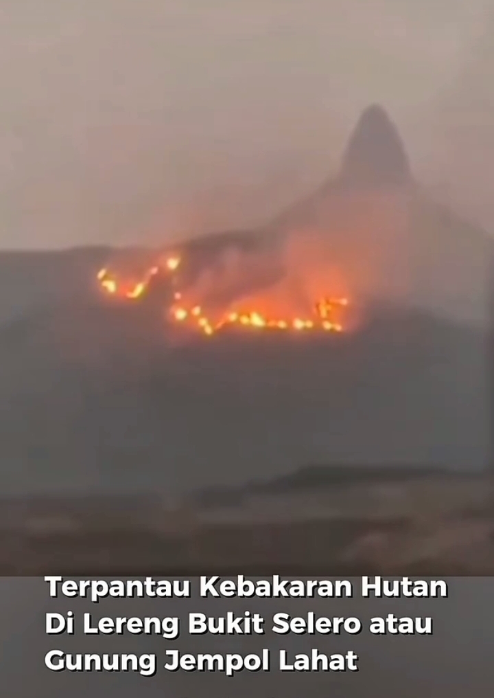 kebakaran melanda kawasan bukit selero(sumsel)